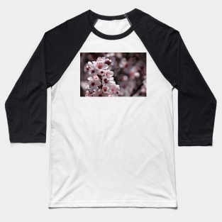 Japanese Cherry Tree (#1) Baseball T-Shirt